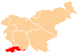 Map of Slovenia highlighting the region location