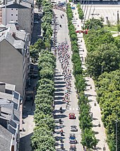 An aerial view of the a large group of riders strung out along a tree-lined city boulevard