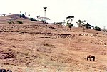 Dry season in Fatu Le`u (1991)