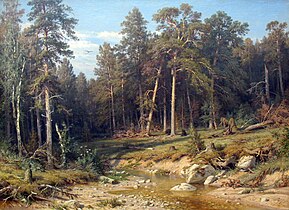 A Pine Forest. Mast-Timber forest in Viatka Province, 1872