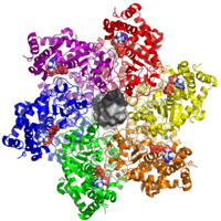 3D protein structure of the zinc-binding and ATPase/helicase domains of the large tumor antigen hexamer bound to double-stranded DNA (central gray blob). It's a viral protein involved in cancers such as Merkel-cell_carcinoma when it gets mutated during integration of the viral genome into the host genome. Usually these viruses are harmless, but accidents happen.