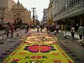 Image 38Sawdust carpet in Holy Week. (from Culture of Honduras)