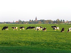 View of Nes aan de Amstel