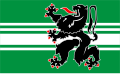 Flagge der Provinz Ostflandern