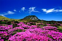 Jeju-Vulkaninsel und Lavatunnel