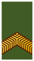 Korporaal (Royal Netherlands Army)[42]