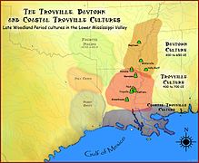Troyville culture and Baytown culture
