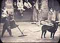 Monkey show, Hunan, c. 1900-1919