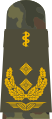 Generalstabsarzt (Luftwaffe Staff General Doctor, field uniform mounting loop)
