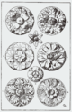 Rosette designs from Meyer's Handbook of Ornament