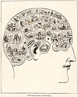 Phrenological mapping of the brain from 1883 - a now largely discredited effort correlate mental functions with specific parts of the brain. See philosophy of mind for a German version. See also Craniometry.