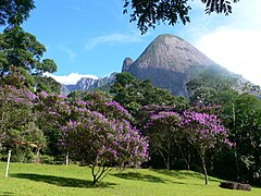 View of the park in Teresópolis, part of the Serra do Mar mountain range
