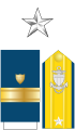 USCG Rear Admiral (lh)