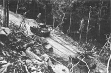 Light tanks advance up a jungle track