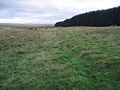 Dere Street at King's Inch.[30] south of Soutra Aisle