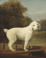 White Poodle in a Punt (ca. 1780), oil on canvas, 127 x 101.5 cm., National Gallery of Art