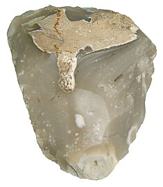 A hand axe made of Miorcani flint from the Cenomanian chalky marl layer of the Moldavian Plateau. (ca. 7.5 cm wide).