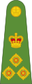 Brigadier (Papua New Guinea Land Element)