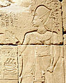 Ramesses IX