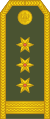 Pukovnik (Montenegrin Ground Army)[14]