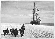 To the South Pole: photograph of sled dogs on Amundsen's South Pole expedition, 1911