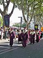 Parade der Confrérie de la Figue Longue Noire de Caromb in Avignon