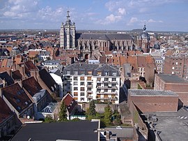 View of the city with St. Pierre church in the background