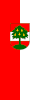 Flag of Dornbirn