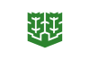 Flagge/Wappen von Matsuyama