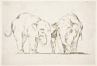 Los elefantes (Disparate de bestia)