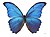 WikiProject Lepidoptera