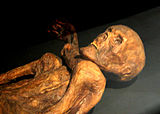 Ötzi, a natural mummy dating from the 4th millennium BC