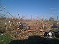 Image 16Tornado damage in Phil Campbell following the statewide April 27, 2011, tornado outbreak (from Alabama)