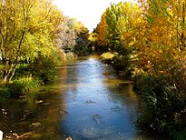 River Arlanzón in autumn