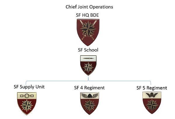 SANDF Special Forces Organigram
