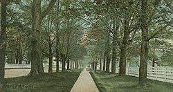 The Mall c. 1906