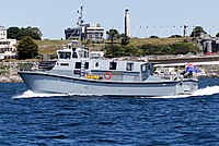 Magpie (Sea class)