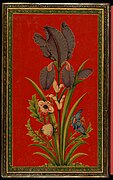 Iris, painted lacquer album cover. Delhi, c. 1850