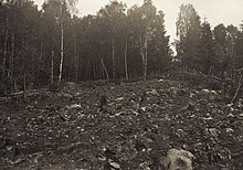 Photo of deforested land