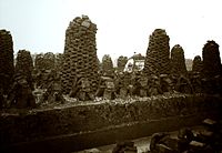 Peat stacks and cutting, Westhay, September 1905