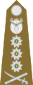 Lieutenant general[49] (South African Army)