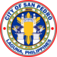 Official seal of San Pedro