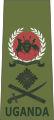 Lieutenant general[53] (Ugandan Army)