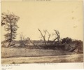 "Virginia, Cold harbor extreme Line of Confederate Works" An April 1865 John Reekie photograph