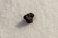 The meteorite fragments are about 10% iron.[8]