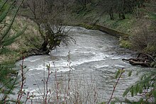 A swiftly-flowing stream about 15 feet (4.6 meters) wide goes around a bend between raised banks. A low retaining wall protects the outer bank.