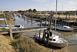 The moorings in La Couarde-sur-Mer