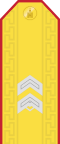 Mongolian Army-SGT-parade