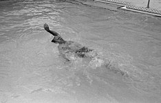 Gerald Ford swimming in the pool in July 1975