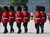 The Royal 22nd Regiment's full dress headgear is a bearskin cap with a scarlet plume.